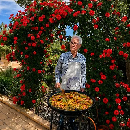 An Oasis Of Mediterranean Tranquility With Mountain Views * Mora d'Ebre